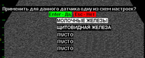 Схемы УЗИ - настроек